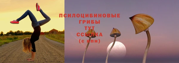 apvp Коряжма