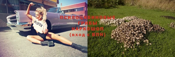 apvp Коряжма